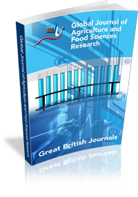 Default Journal Image